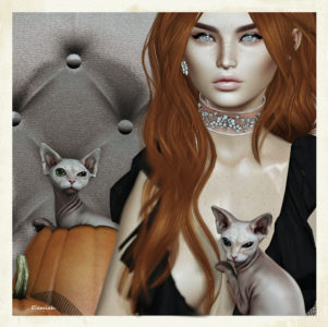 Sphynx (blog)